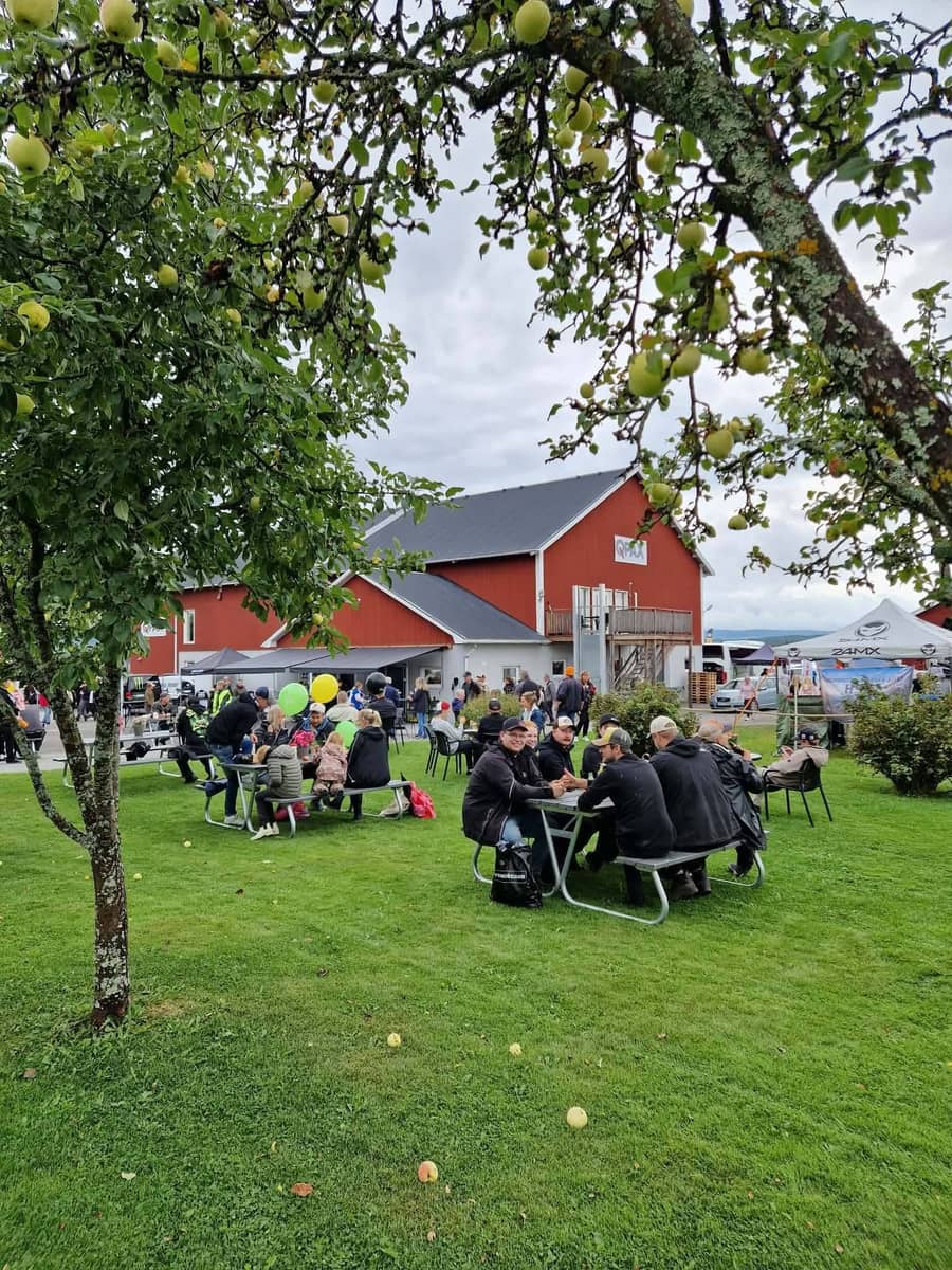 Besökare fikar tillsammans under äppelträden